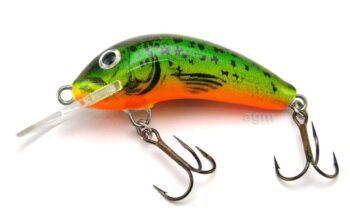 Hester Small Fry Fire Tiger