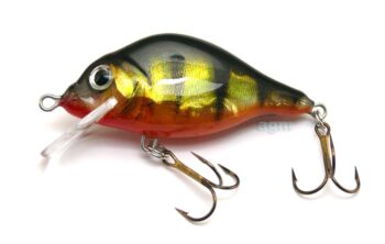 Hester 2" Carp Floater - Holo Perch