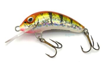 Hester Small Fry Tiger
