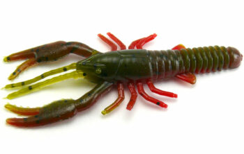 AGM 3" Crayfish - Green Pumpkin/Red (8pcs)