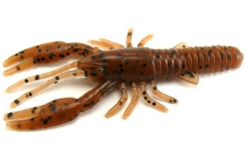 AGM 3" Crayfish - Pumpkinseed (8pcs)