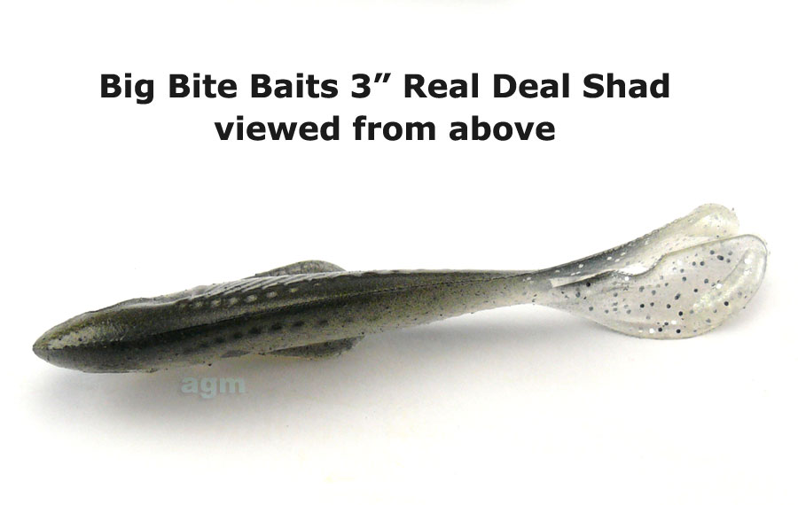 Big Bite 3" Real Deal Shad - Shad (5pcs)