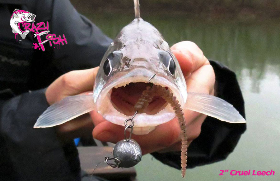 Crazy Fish 2" Cruel Leech - 50 Pink Flamingo (8pcs)