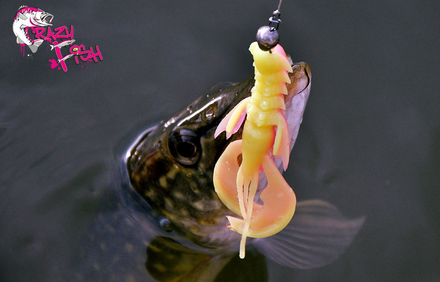 Crazy Fish 4" Nimble - 4D Swamp Chartreuse (9pcs)