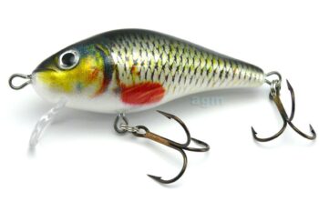 Hester Shallow Shad - Roach