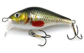Hester Big Shallow Shad - Roach