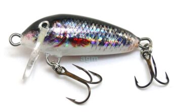 Hester Mini Small Fry Holo Roach