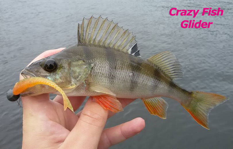 Crazy Fish 3.5" Floating Glider - 3D Swamp Pearl (8pcs)