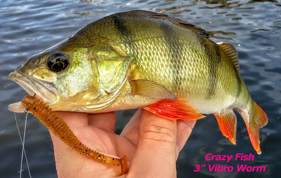 Crazy Fish 3" Vibro Worm - 64 Fluo Orange (5pcs)