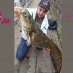 Crazy Fish 4.7" Vibro Fat - 3D Swamp/Pearl (4pcs)