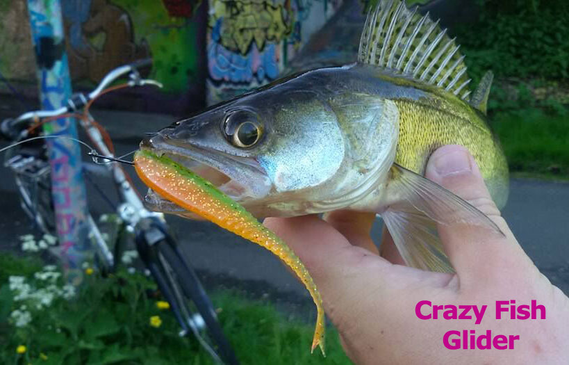 Crazy Fish 3.5" Floating Glider - 3D Swamp Pearl (8pcs)