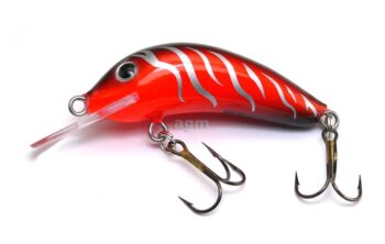 Hester Small Fry Ruby Dragon